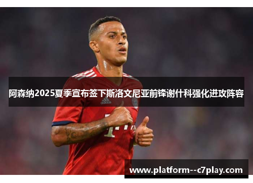 阿森纳2025夏季宣布签下斯洛文尼亚前锋谢什科强化进攻阵容